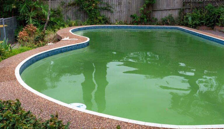Hausmittel gegen Algen im Pool