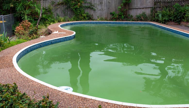 Hausmittel gegen Algen im Pool