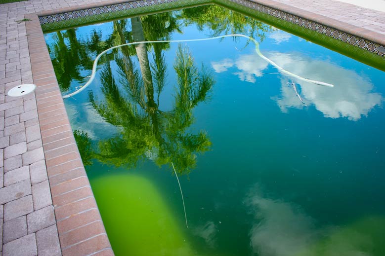 Gefährlich pool wasser grün Poolwasser ist